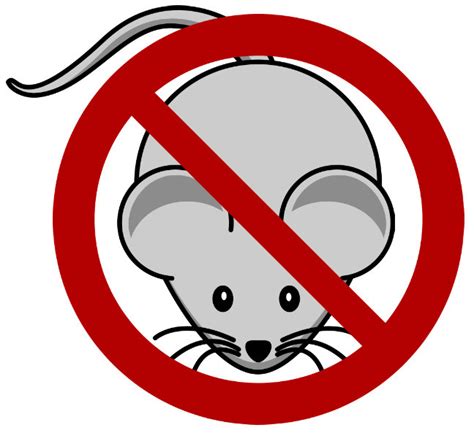 Tips to Keep Pesky Mice Out of Your RV