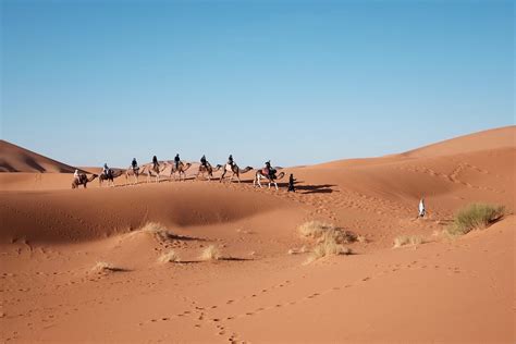 Top 5 Deserts In Africa That Needs To Be On Your Travel List