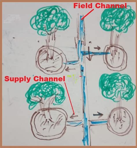 Importance and Types of Surface Irrigation System - Agrovista-Farming