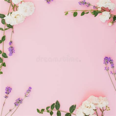 Frame of White Flowers and Paper Card Isolated on Pink Background. Flat Lay. Top View Stock ...