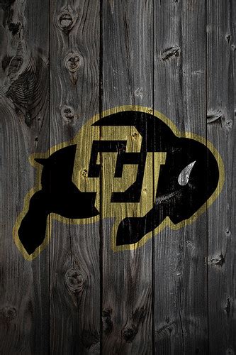 NBA STYLE: Purdue Logo Wallpaper