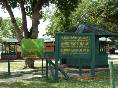 tour in srilanka: Kumana National Park