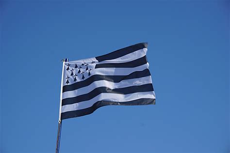 Flag Of Brittany Free Stock Photo - Public Domain Pictures