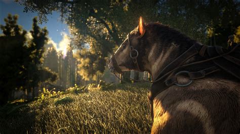 Latest Ark: Survival Evolved update includes new dinosaurs, mechanics, procedurally generated ...