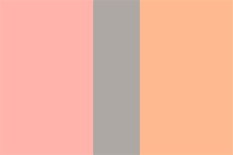 Peach to Blush Color Palette