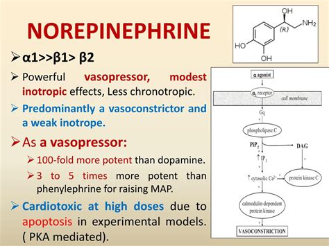 PPT - INOTROPES IN CARDIOGENIC SHOCK PowerPoint Presentation, free download - ID:8083806