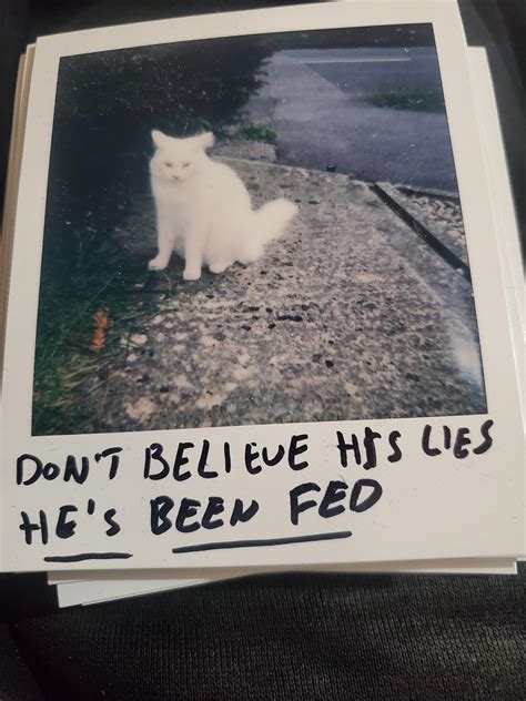 Reasons to have a Polaroid camera (with a homage to Memento) : r/CasualUK