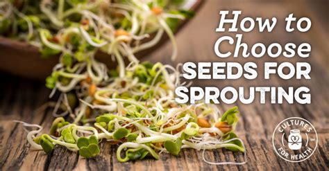 Seeds To Sprout | Best Sprouting Seeds - Cultures For Health