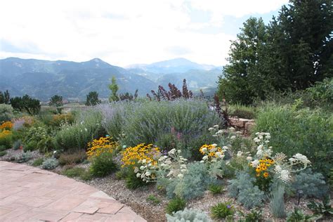 Reduce Summertime Watering = Xeriscape