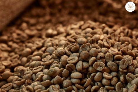 Los mejores granos de café verde del mundo que puedes comprar sin ...