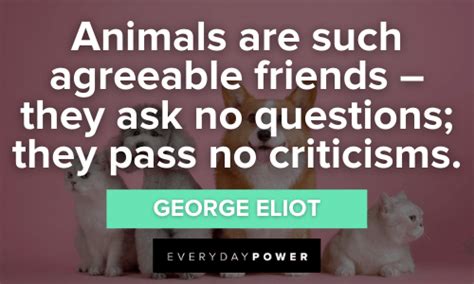 Pet Quotes and Sayings for All Animal Lovers – Daily Inspirational Posters