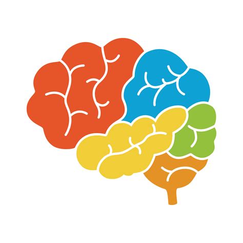 A diagram of the human brain side view, anatomy. 19523337 Vector Art at ...