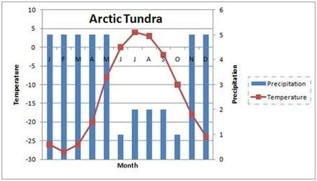 TUNDRA - By: Manvir And Serena