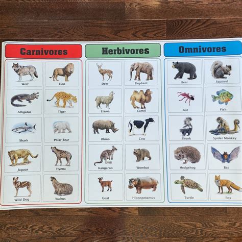 Carnivores, Herbivores, Omnivores - Ages 6-9