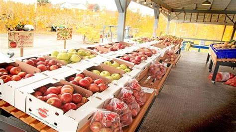 This Fall, Go Apple Picking In America's Best Orchards!: TripHobo