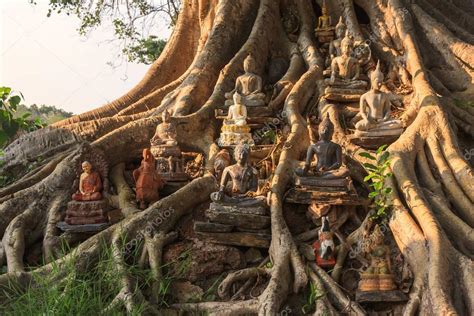 Buddha statue Under the Bodhi Tree — Stock Photo © chok02@hotmail.com ...