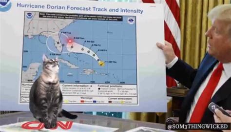 Trump shares bizarre cat meme about his altered hurricane map