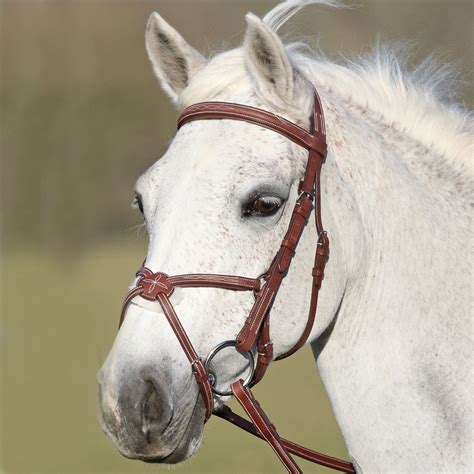 types of horse bridles - Google Search