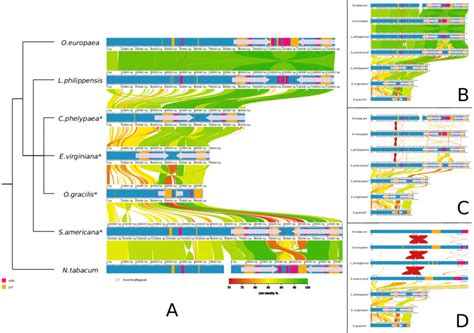 Whole genome alignment of seven chloroplasts visualized by AliTV.... | Download Scientific Diagram