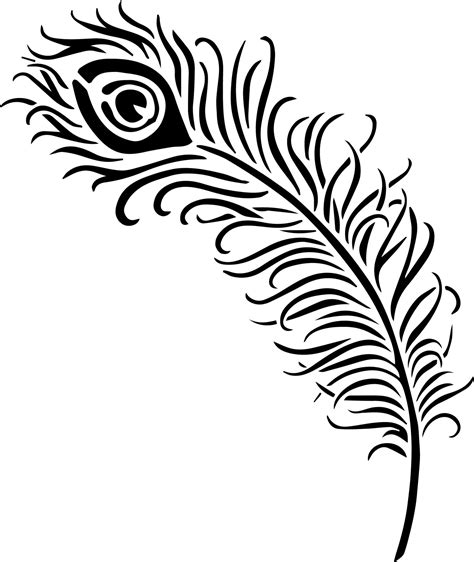 Line art, peacock feather 4439505 Vector Art at Vecteezy