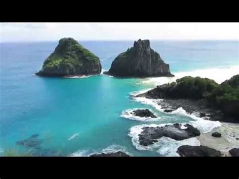 Birds and wildlife on Fernando de Noronha, Brazil - Aves e vida selvagem em Fernando de Noronha ...