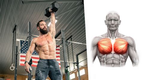 8 Unorthodox and Surprising Exercises to Force Chest Muscle Growth in ...