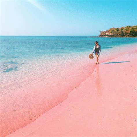 Instagram photo by Wahyu Mahendra • Aug 27, 2015 at 1:38pm UTC | Pink sand beach, Places to ...