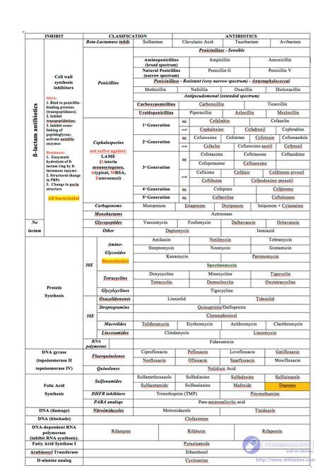 Cross reactivity of beta lactam antibiotics