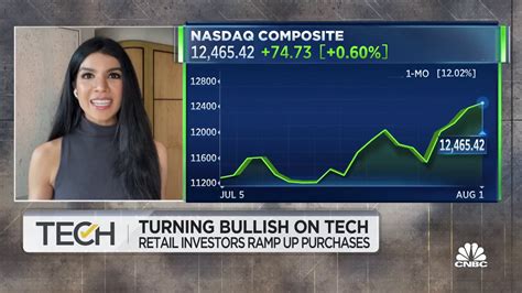 Individual investors are doubling down on tech despite the volatility ...