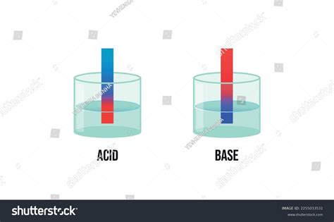 Litmus Paper Test Acid Alkali Solution Stock Vector (Royalty Free ...