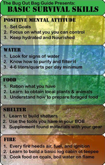 Basic Survival Skills - The Bug Out Bag Guide