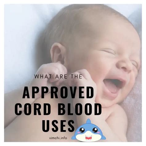 Cord Blood Uses: What You Need To Know Now?