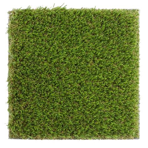 Shop SYNLawn UltraLush Platinum 6-in x 6-in Artificial Grass Sample at ...