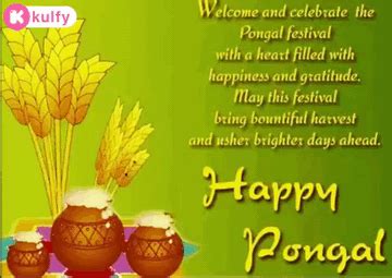 Happy Pongal Wishes.Gif GIF - Happy pongal wishes Happy pongal Pongal wishes - Discover & Share GIFs