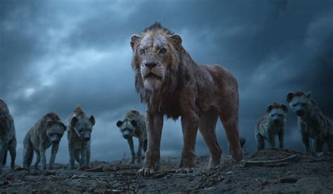 Scar The Lion King 2019, HD Movies, 4k Wallpapers, Images, Backgrounds, Photos and Pictures