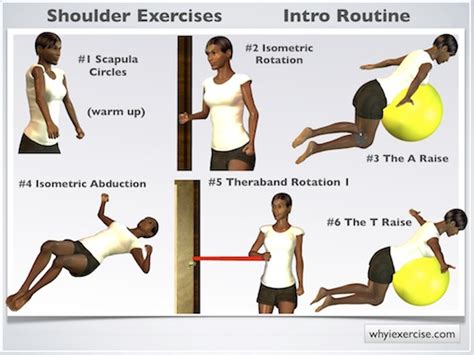 Shoulder exercises: a therapeutic strengthening routine