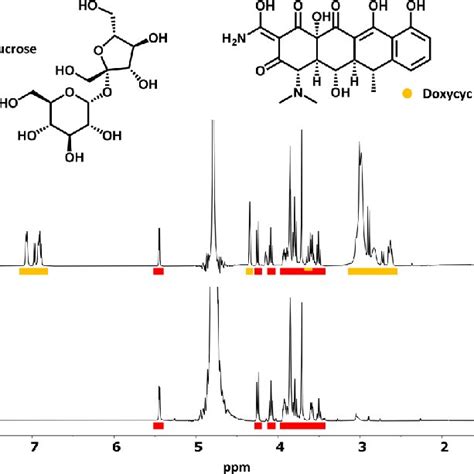 1 H NMR spectra (D 2 O, 500 MHz, 300 K) of Proderma (4 mg/mL) before ...