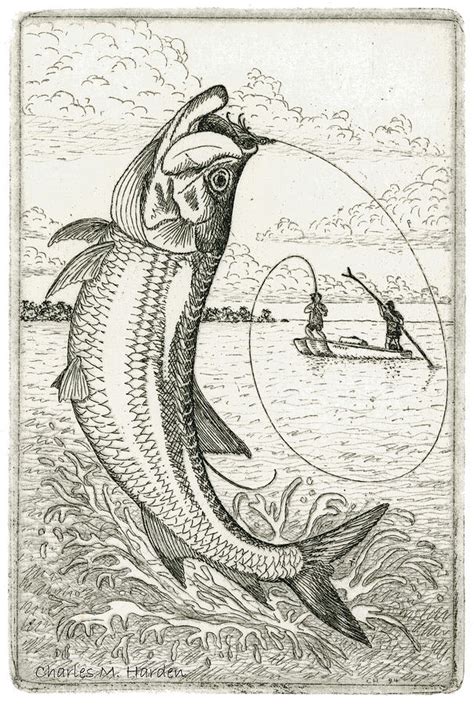 Leaping Tarpon Drawing by Charles Harden