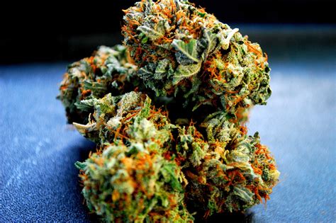 10 Best Marijuana Strains for Summer | PotGuide