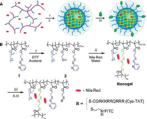 Design and synthesis of the polymer nanoparticles. (A) Schematic ...