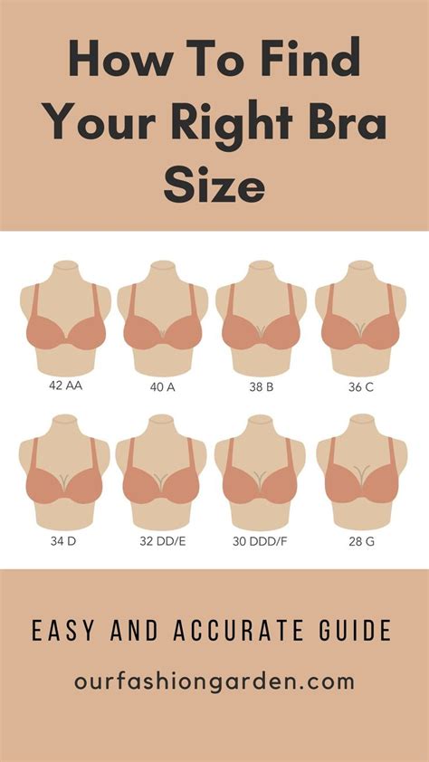 Bra Sizes With Picture Store | cityofclovis.org