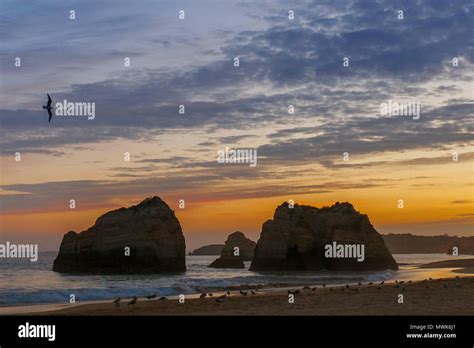 night in portimao-portugal Stock Photo - Alamy