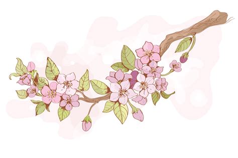 Branche de cerisier Sakura 435585 Art vectoriel chez Vecteezy