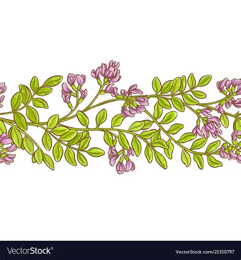 Astragalus pattern Royalty Free Vector Image - VectorStock