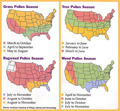 Related image | Seasons, Allergy free, Pollen