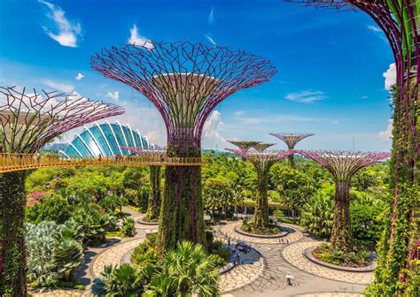 A guide to Gardens by the Bay, Singapore