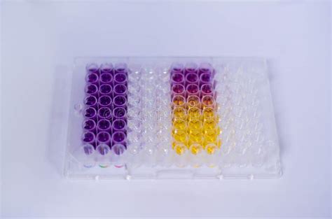 Antioxidant assay stock image. Image of care, laboratory - 92317141