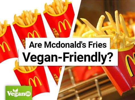 Are Mcdonald's Fries Vegan-Friendly? [UPDATED: 2024 ] ⋆ Vegan20