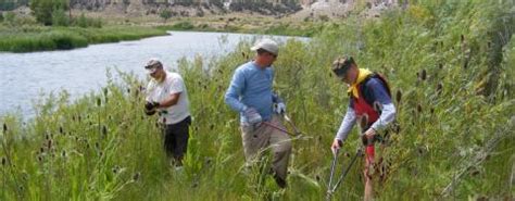 Control Mechanisms | National Invasive Species Information Center