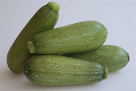 Mexican Squash | Locally Grown in San Diego County